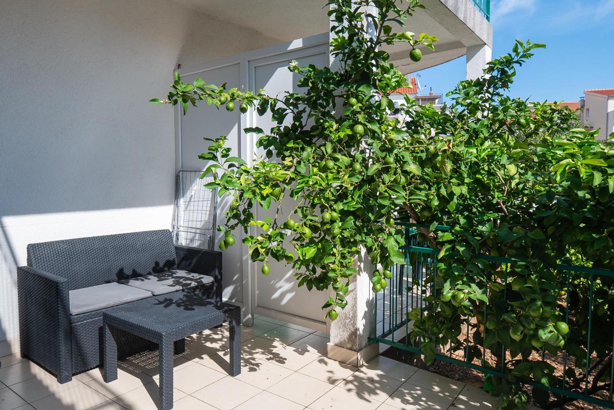 Apartments Polly Primošten Exterior foto